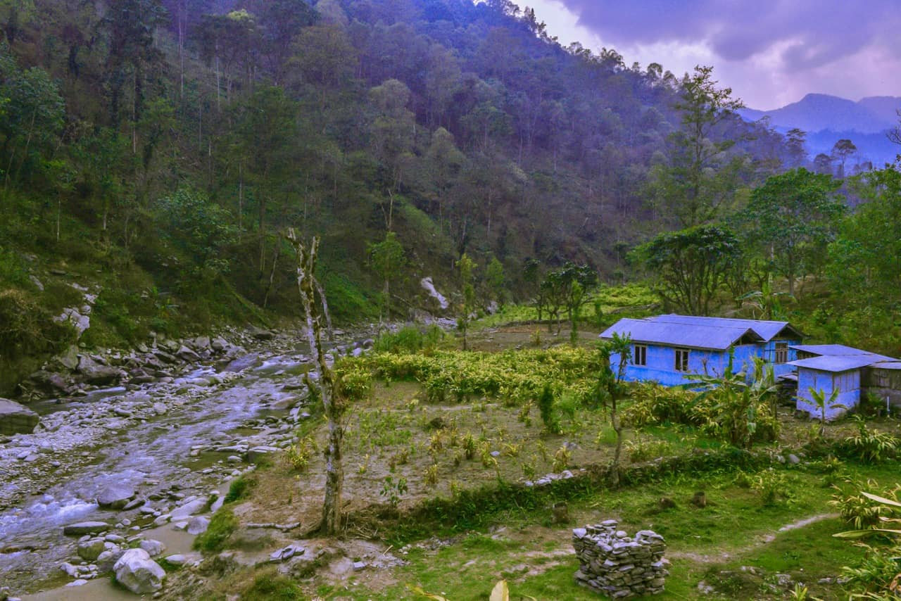 Demo Image